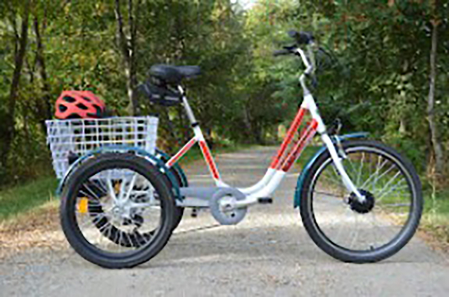 TRICICLO E-BIKE 24″